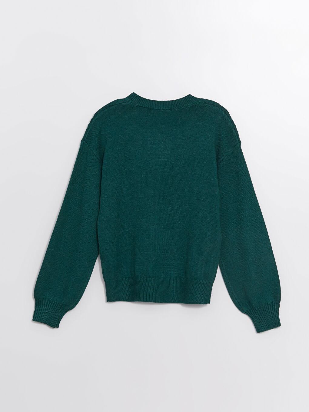 LCWAIKIKI Classic Crew Neck Textured Women's Knitwear Sweater -W4CL62Z8-R4Z