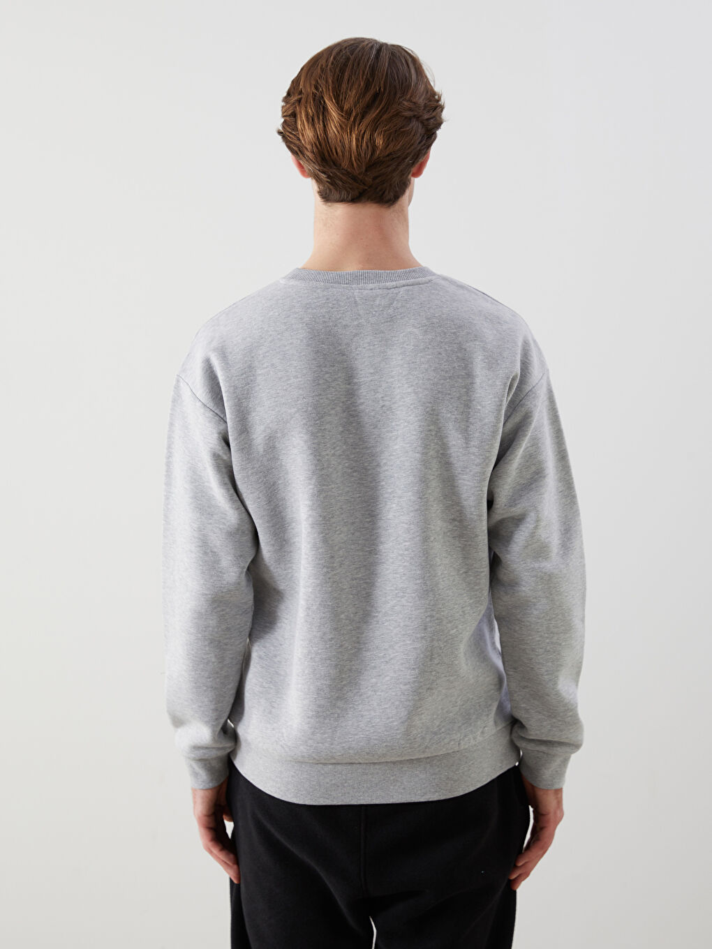 Crew Neck Men's Sweatshirt-3