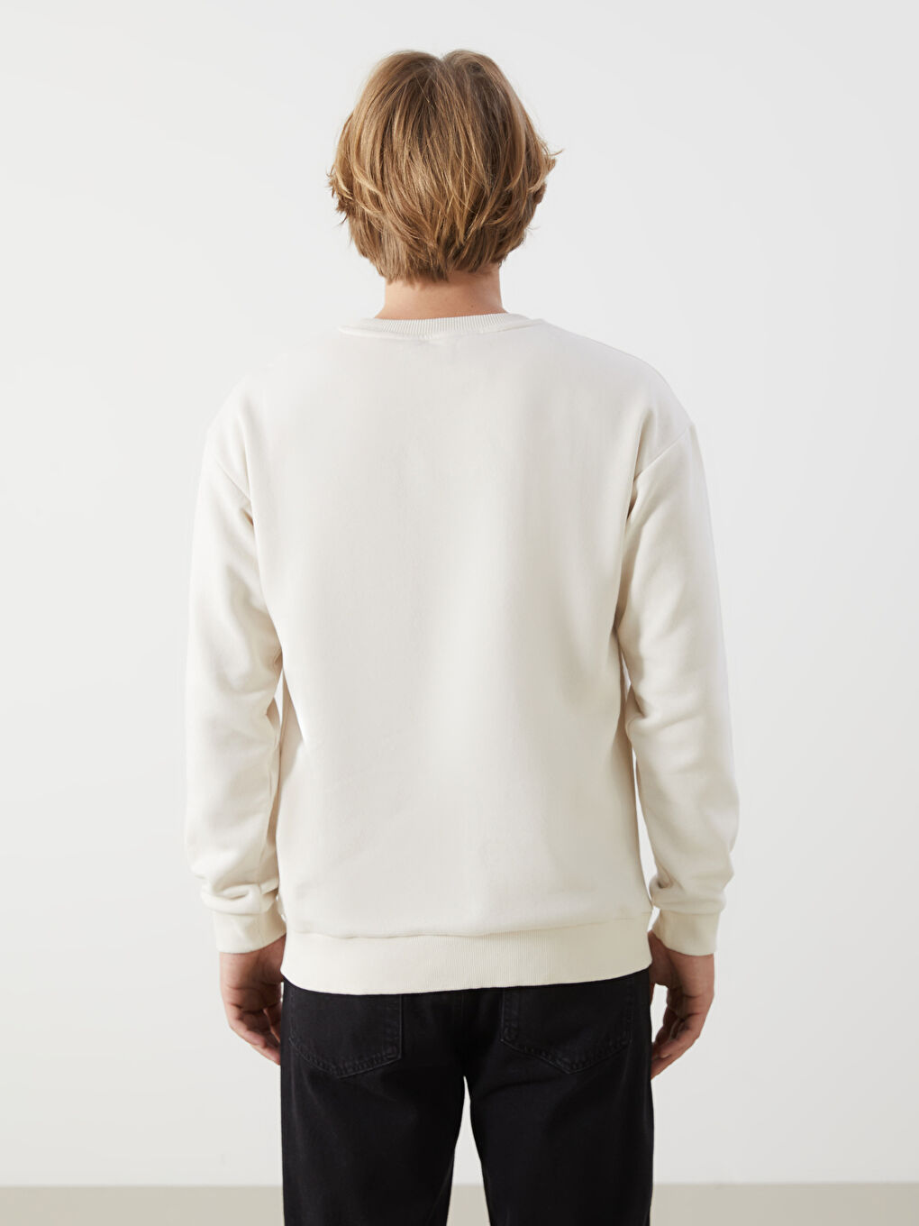 Crew Neck Long Sleeve Men's Sweatshirt-3