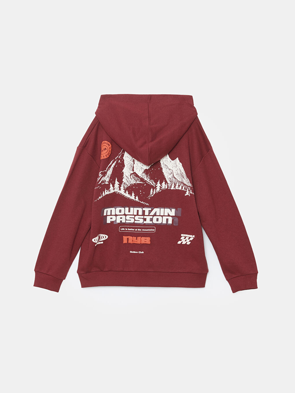 LC Waikiki Hooded Boys' Sweatshirt -W4CP31Z4-HRM