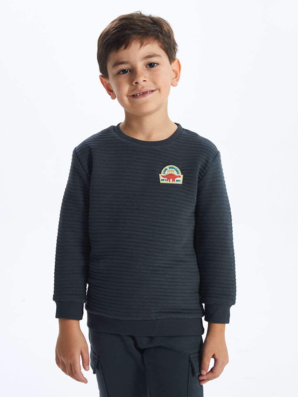 LCW Kids Antrasit Bisiklet Yaka Baskılı Uzun Kollu Erkek Çocuk Sweatshirt