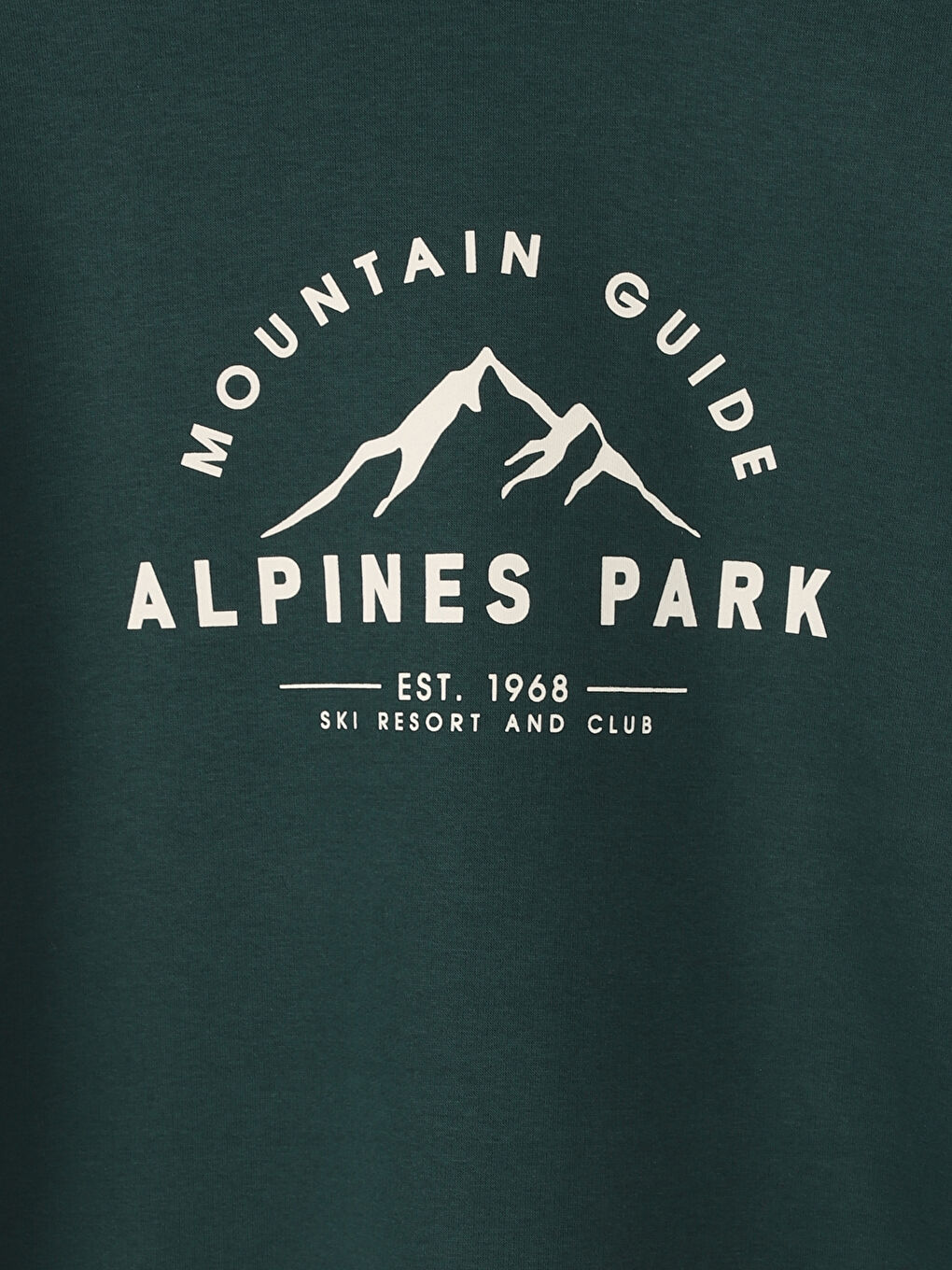 Crew Neck Printed Women's Sweatshirt-2