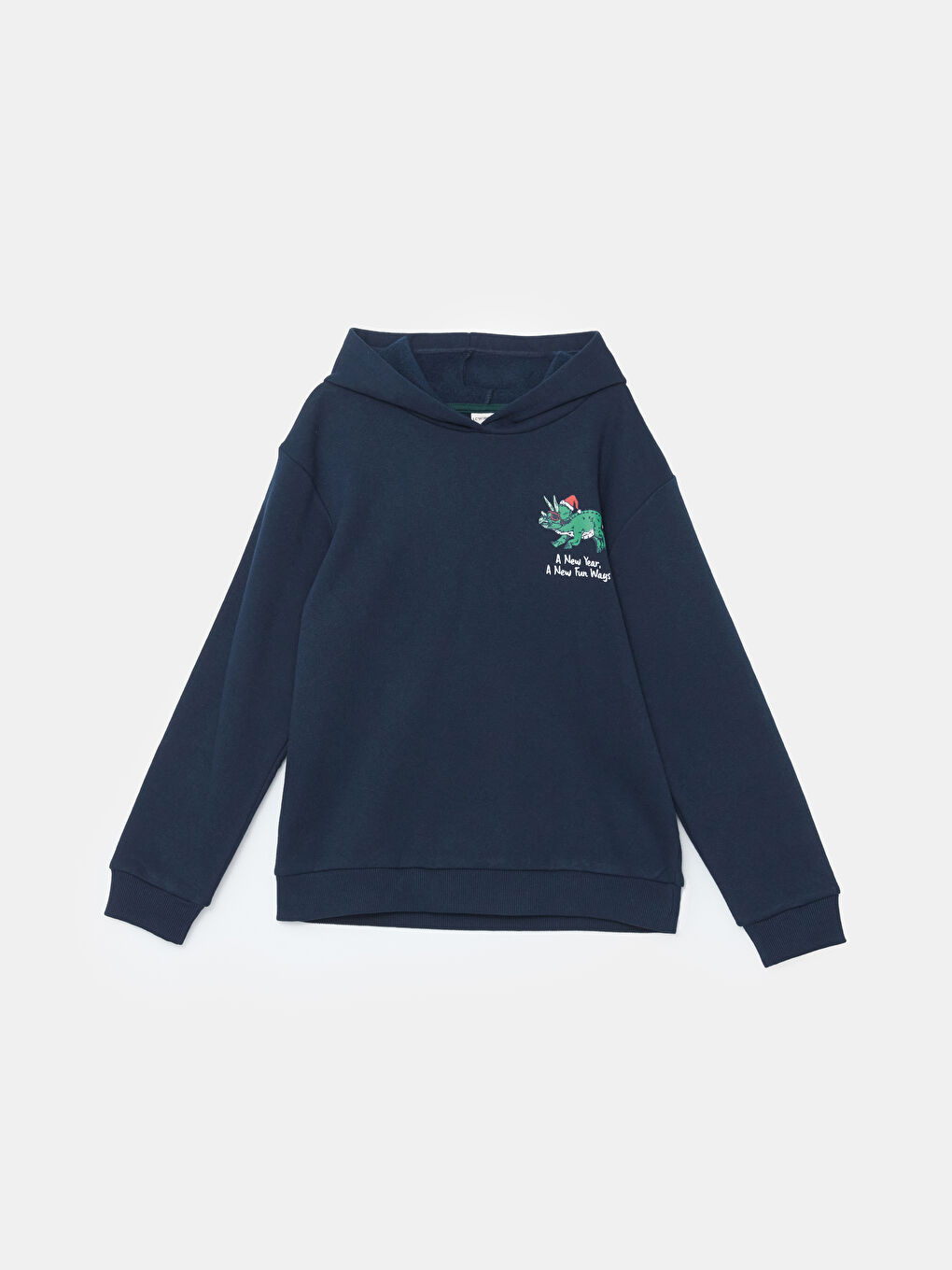 Boys' Printed Hooded Sweatshirt -W4DS96Z4-DWP