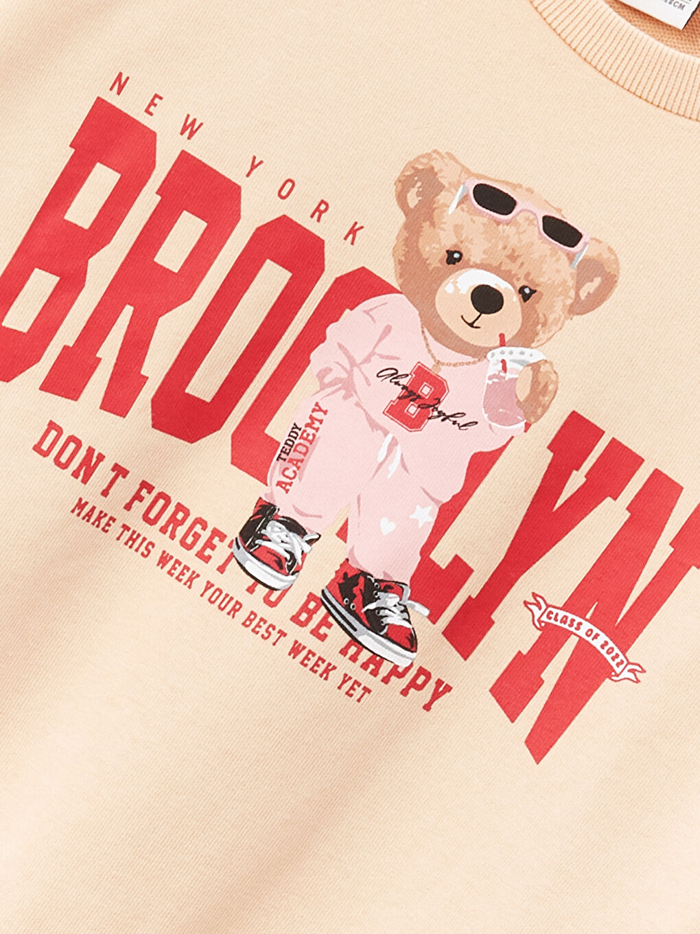 Crew Neck Teddy Bear Printed Girls' Sweatshirt-2