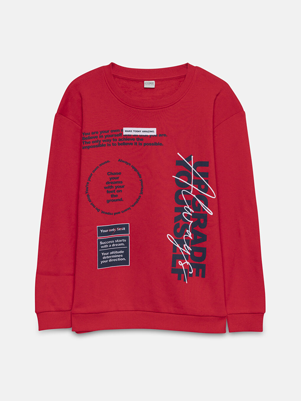 LCW Kids Crew Neck Boys' Thick Sweatshirt -W4EG14Z4-HMW