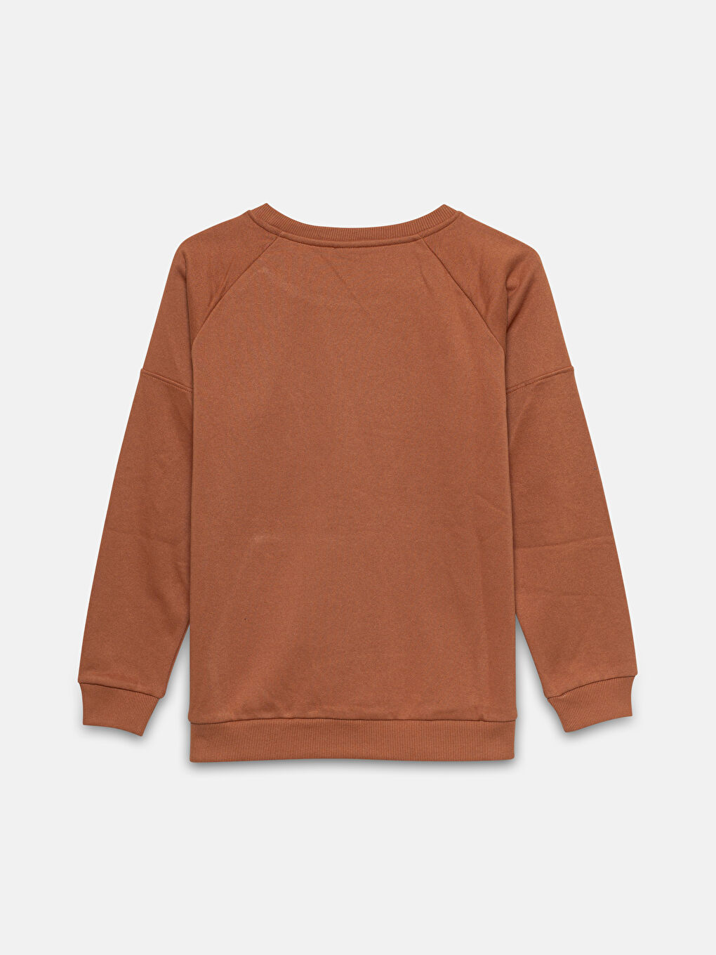 LCW Kids Kahverengi Bisiklet Yaka Erkek Çocuk Kalın Sweatshirt - 1