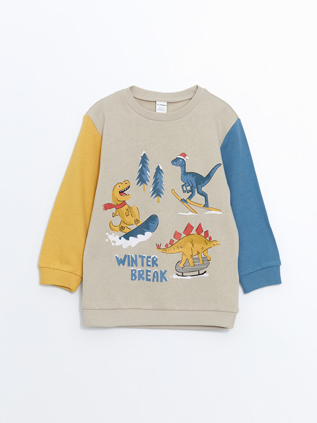 LCW Kids Crew Neck Printed Thick Boys' Sweatshirt 2 Pack -W4EK38Z1-FKQ