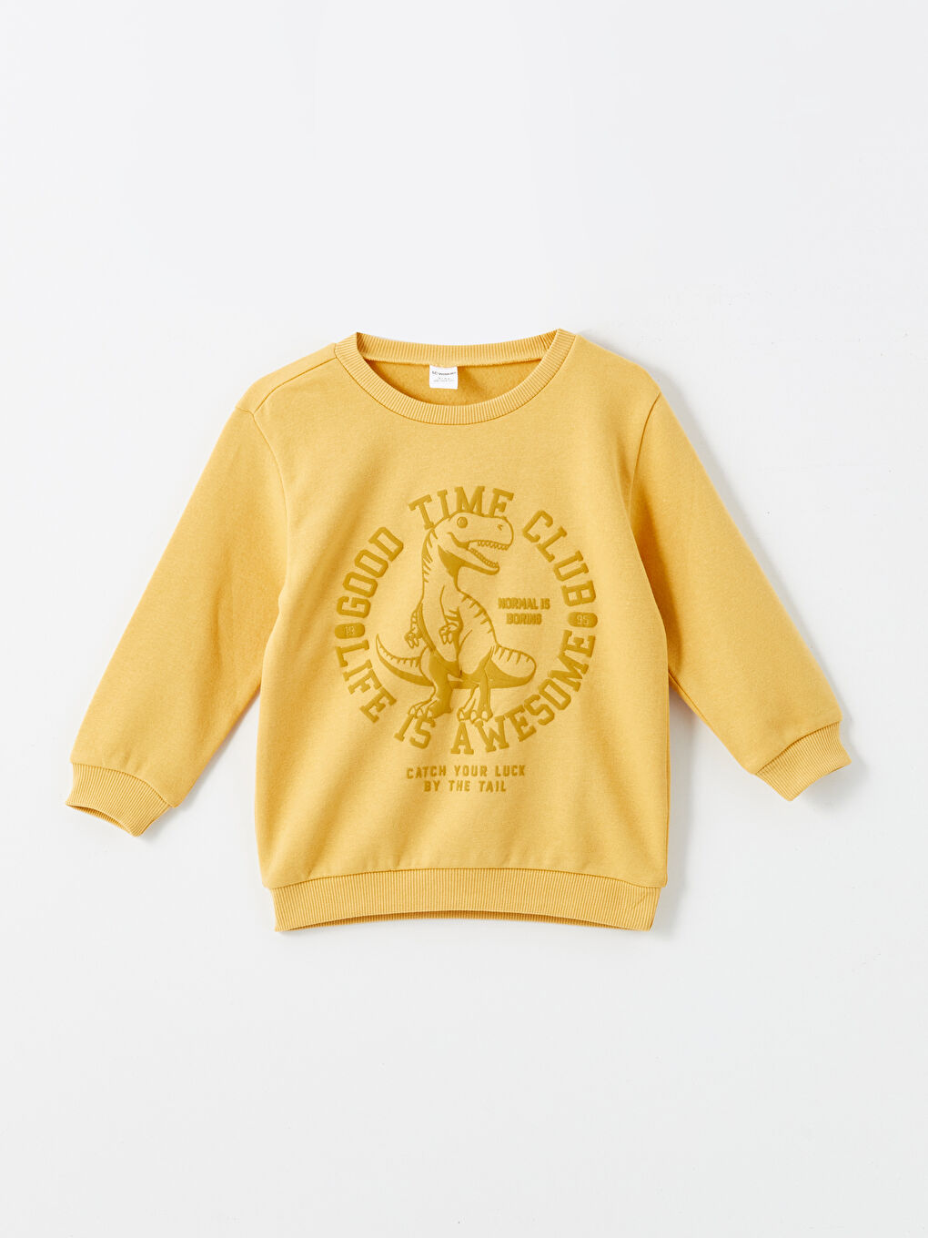 LCW Kids Crew Neck Printed Thick Boys' Sweatshirt 2 Pack -W4EK51Z1-G4N