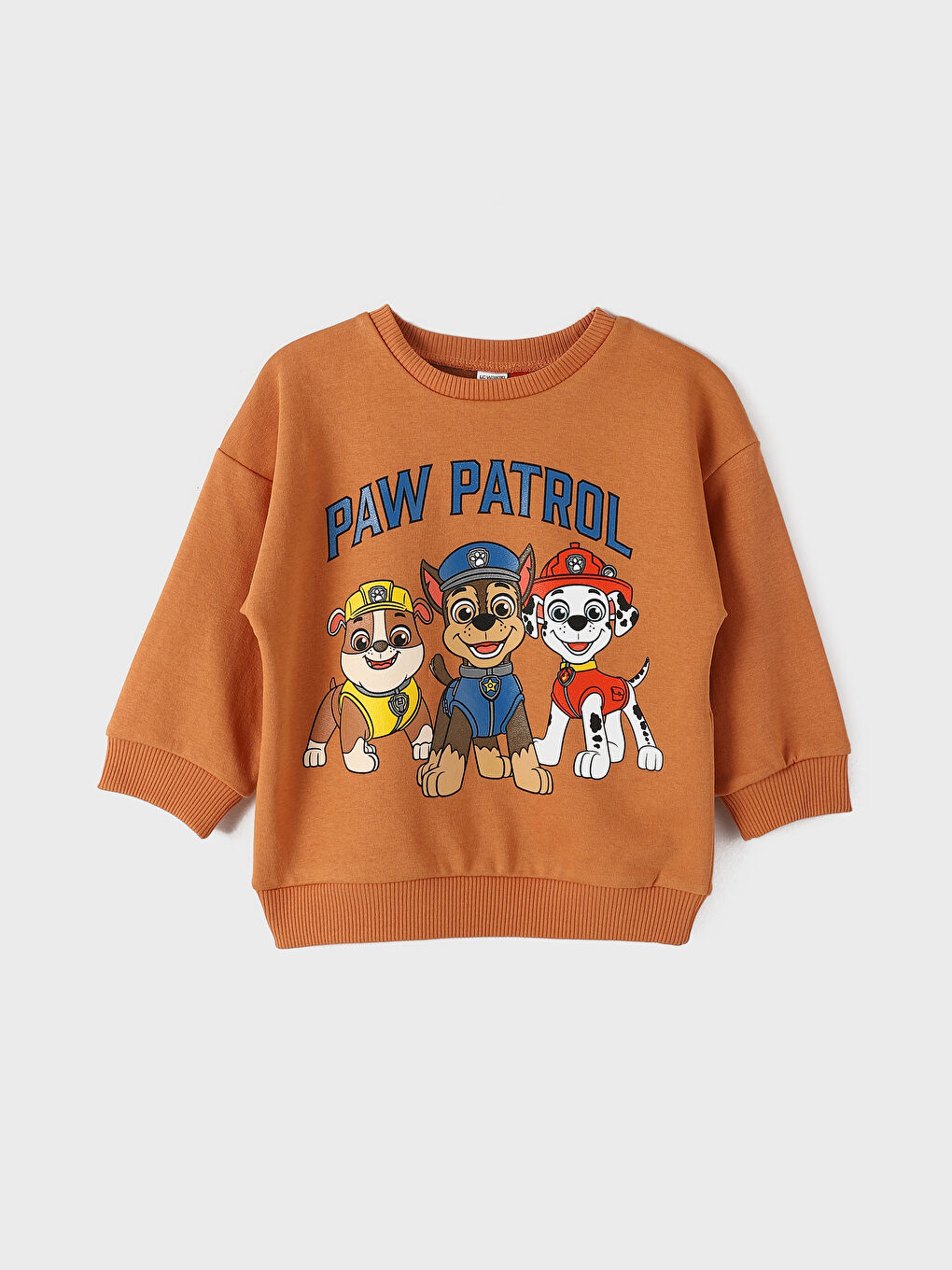 Crew Neck Printed Long Sleeve Baby Boys' Sweatshirt