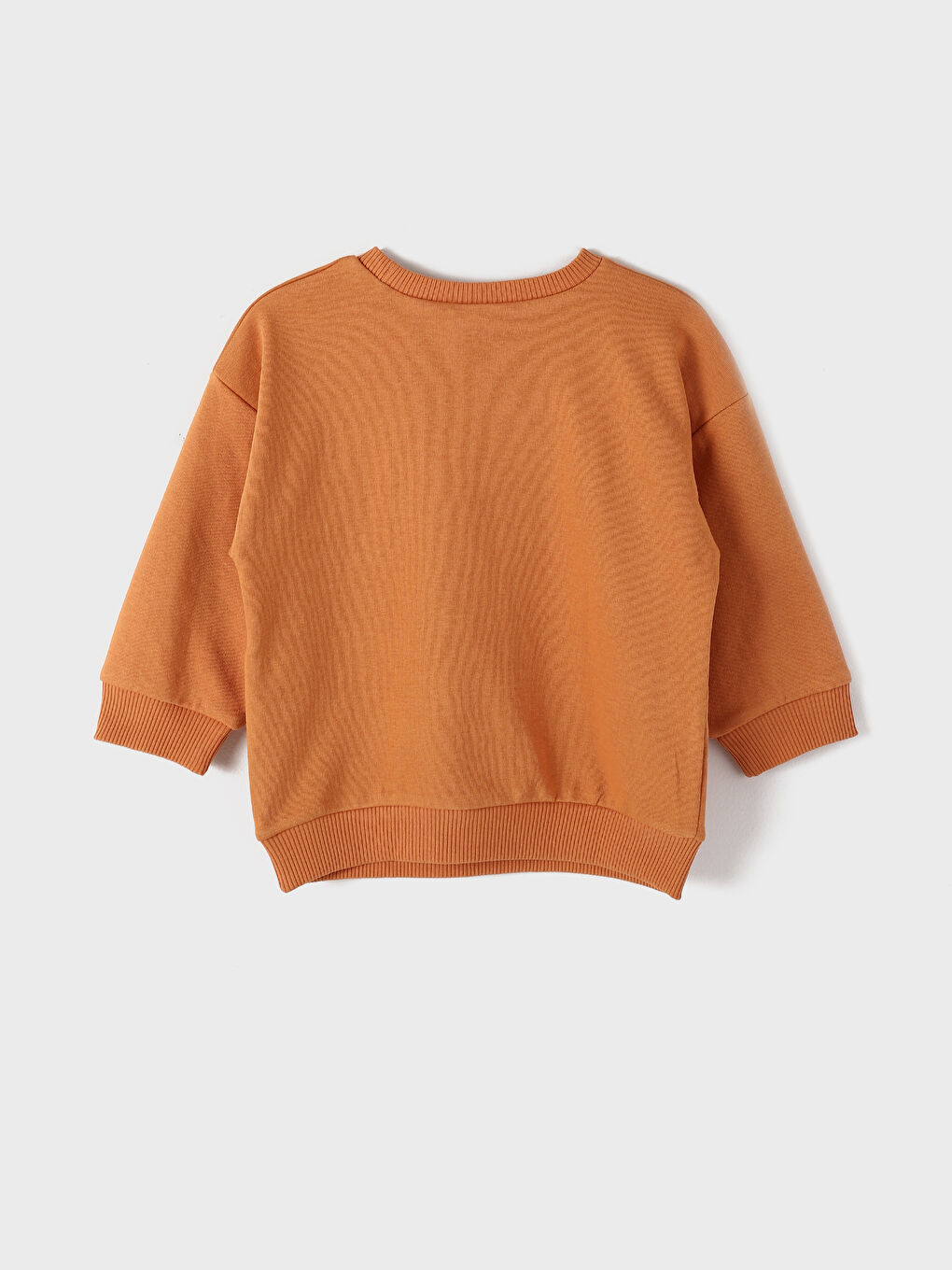 Crew Neck Printed Long Sleeve Baby Boys' Sweatshirt-1