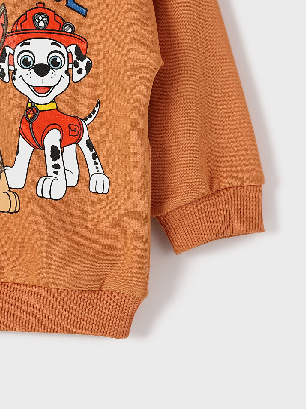 Crew Neck Printed Long Sleeve Baby Boys' Sweatshirt-2