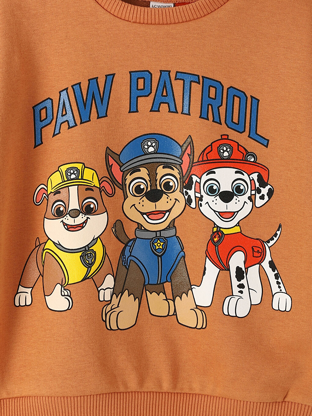 Crew Neck Printed Long Sleeve Baby Boys' Sweatshirt-3