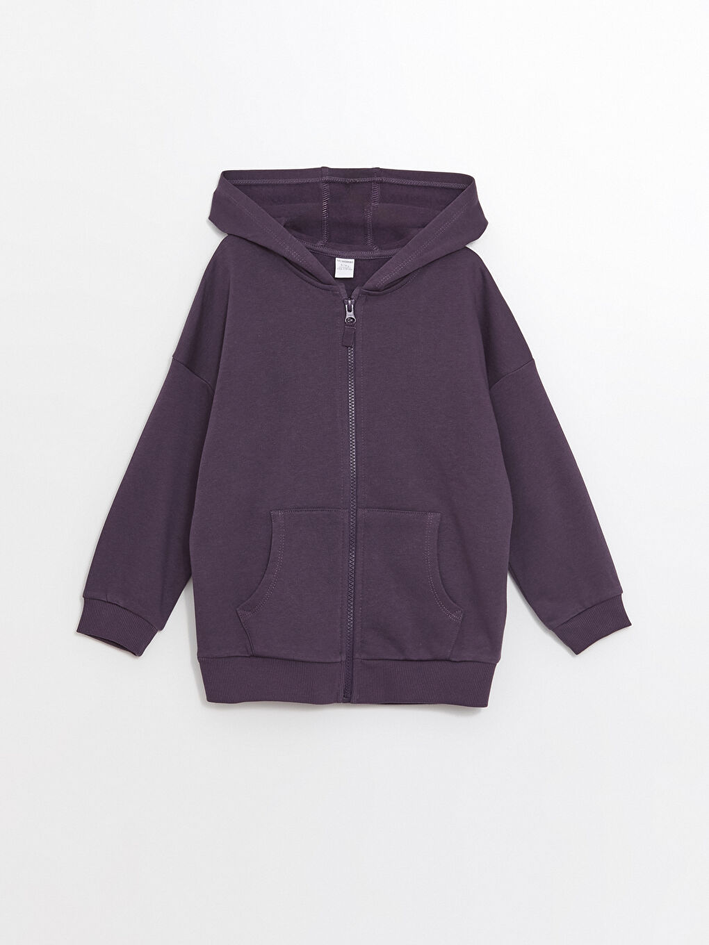 Hooded Basic Long Sleeve Baby Boys' Zipper Sweatshirt -W4FN93Z1-HPK