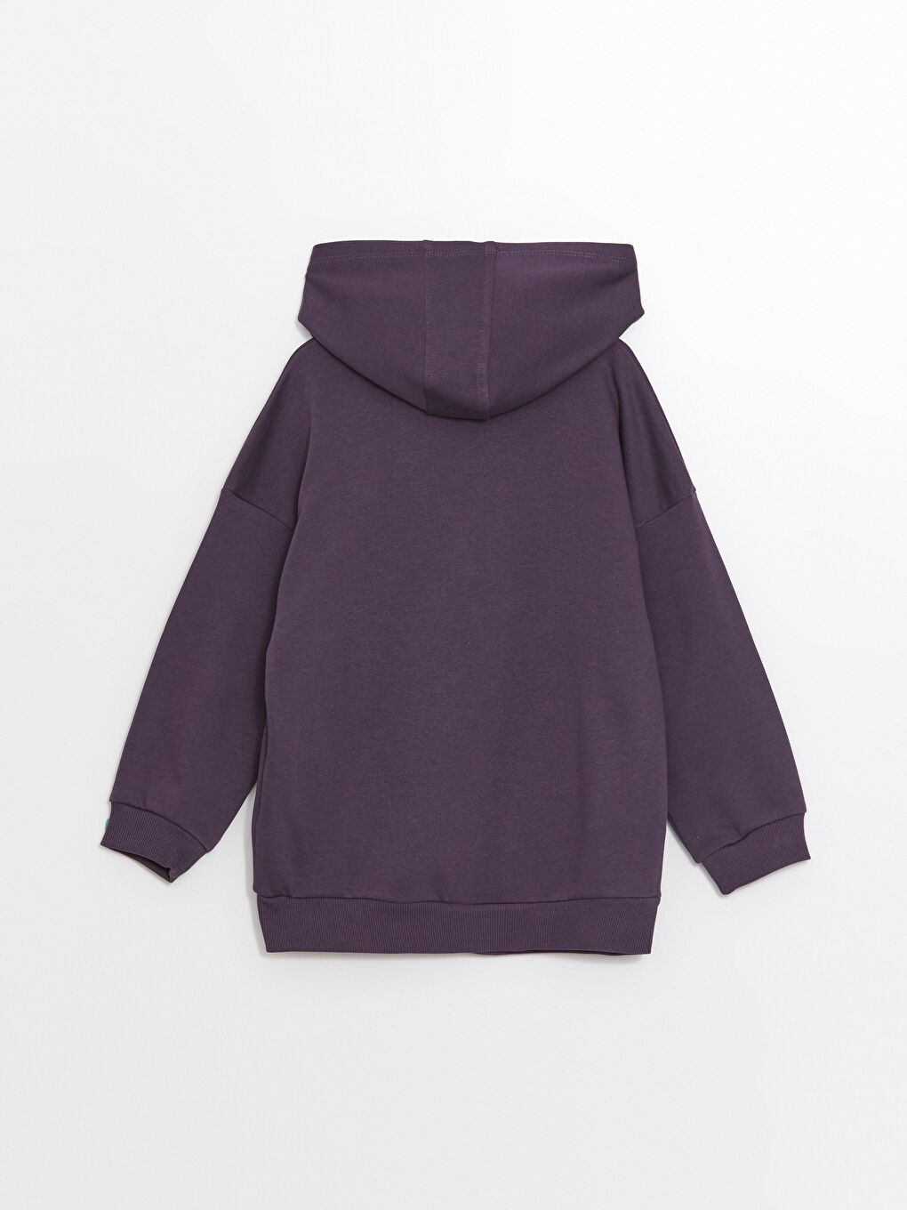 Hooded Basic Long Sleeve Baby Boys' Zipper Sweatshirt -W4FN93Z1-HPK