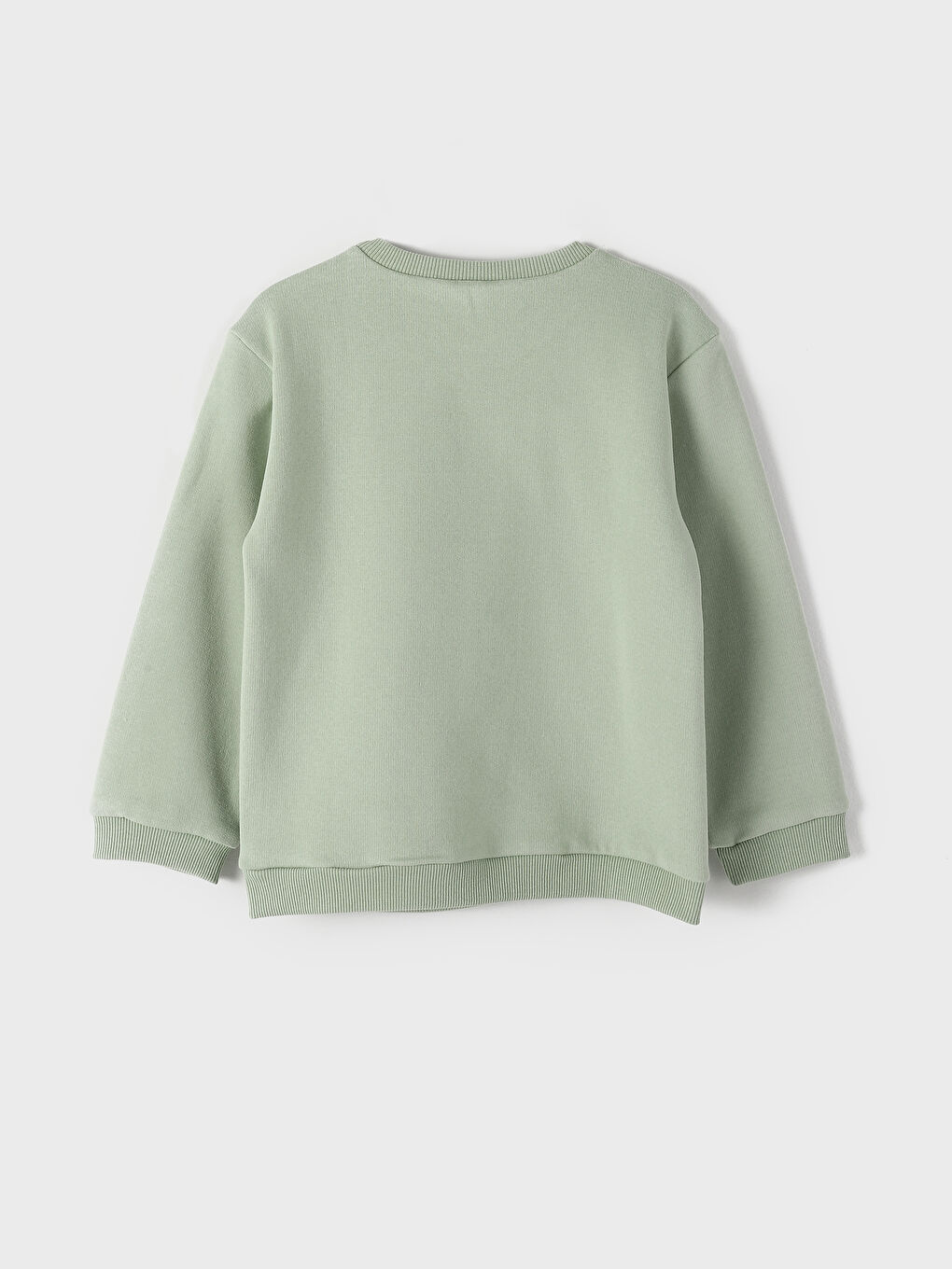 Crew Neck Printed Thick Baby Girls' Sweatshirt-1