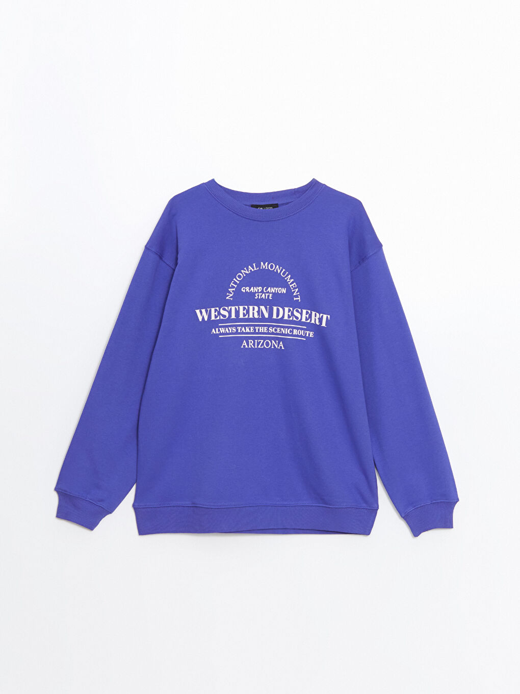 LCW Vision Crew Neck Printed Oversize Women's Sweatshirt -W4FY33Z8-H2U