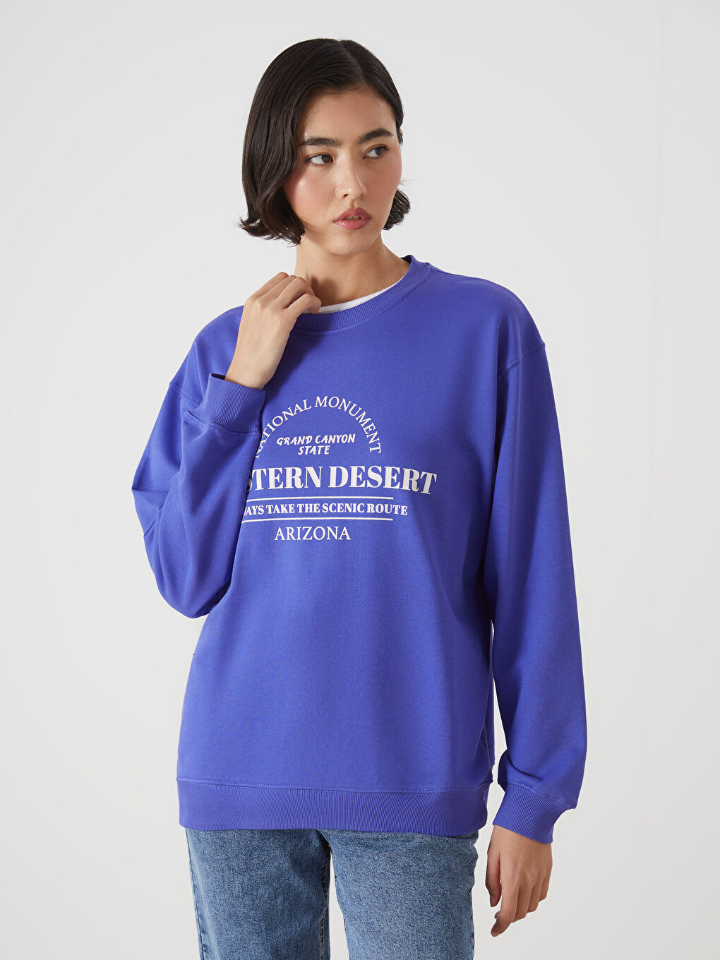 LCW Vision Crew Neck Printed Oversize Women's Sweatshirt -W4FY33Z8-H2U