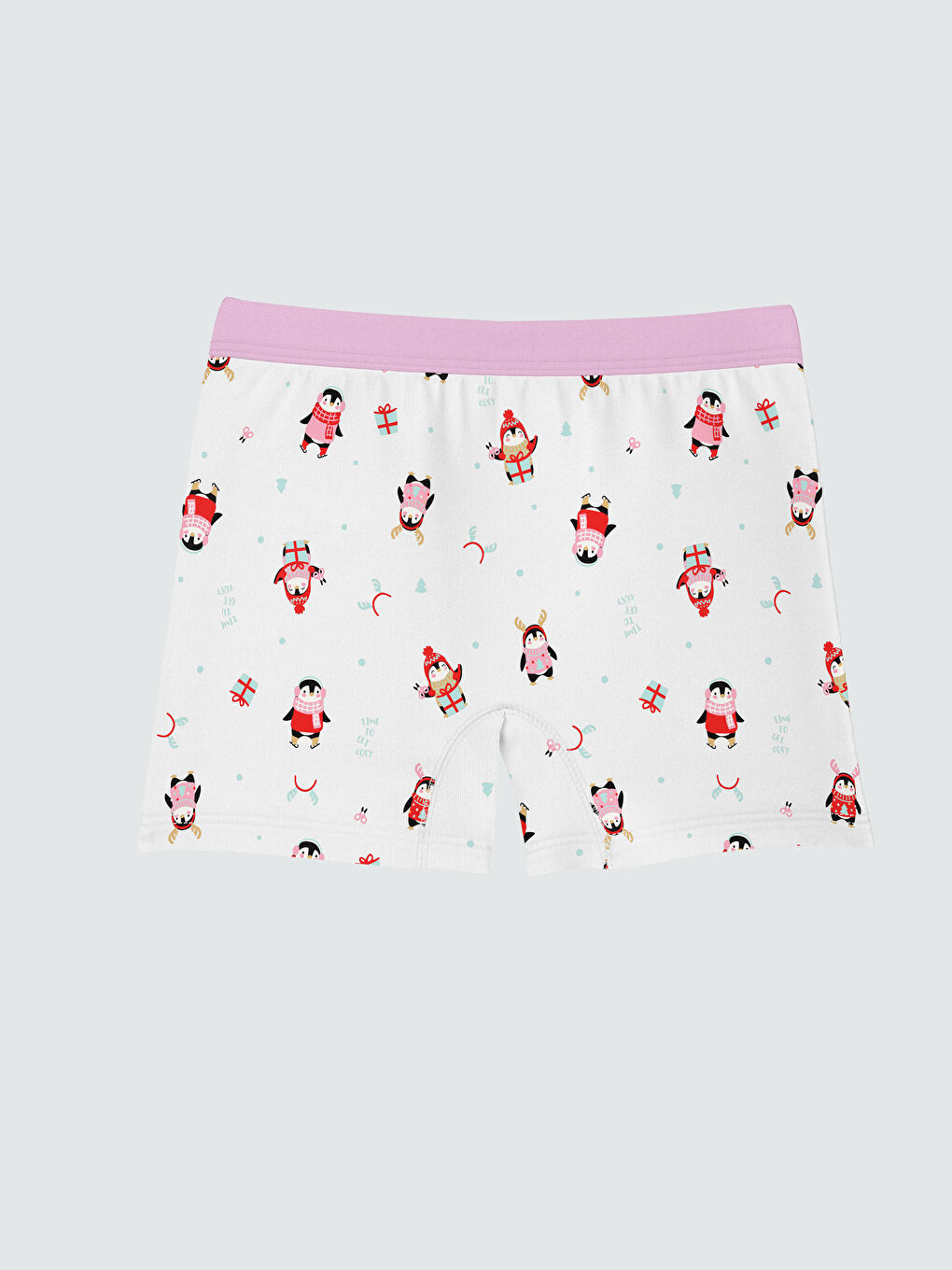 Ekru Yılbaşı Temalı Kız Çocuk Boxer 3'lü-2