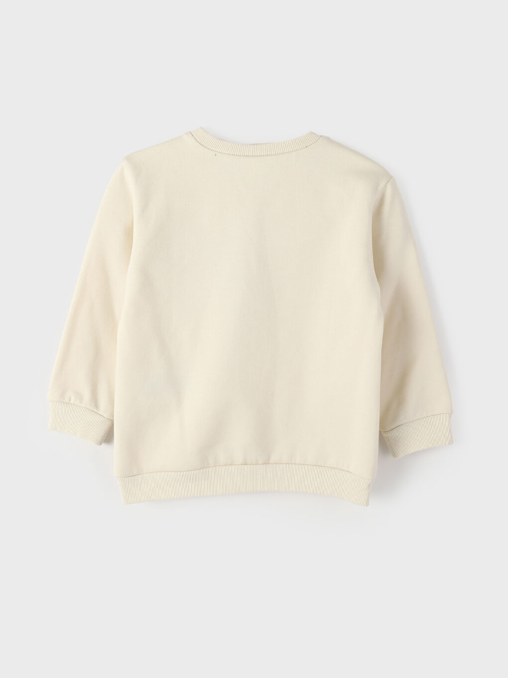 Crew Neck Long Sleeve Printed Baby Boy Sweatshirt 2-Pack-3