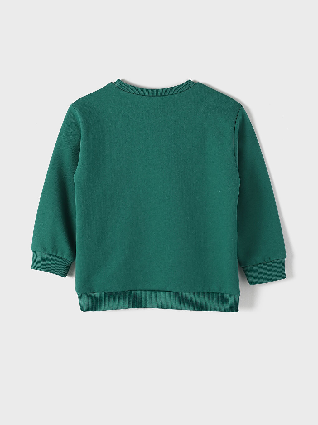 Crew Neck Long Sleeve Printed Baby Boy Sweatshirt 2-Pack-4