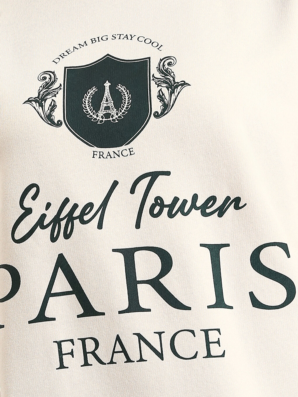 Crew Neck Printed Oversize Women's Thick Sweatshirt-2