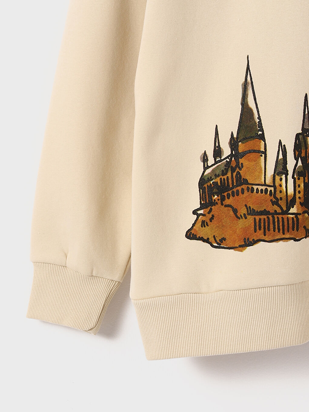 LCW Vision Harry Potter Printed Long Sleeve Oversize Women's Hoodie -W4GR23Z8-VJ6