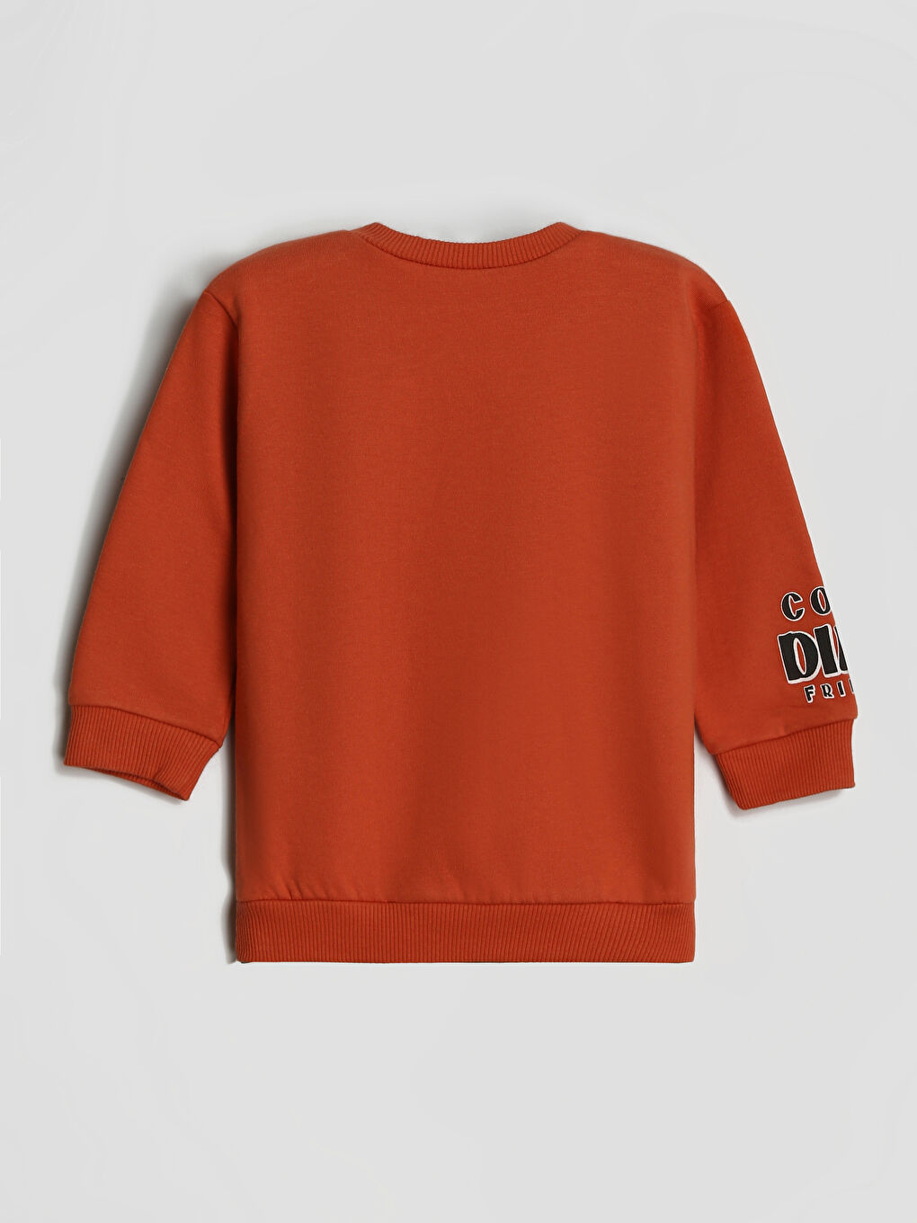 Crew Neck Printed Long Sleeve Boys' Sweatshirt-1