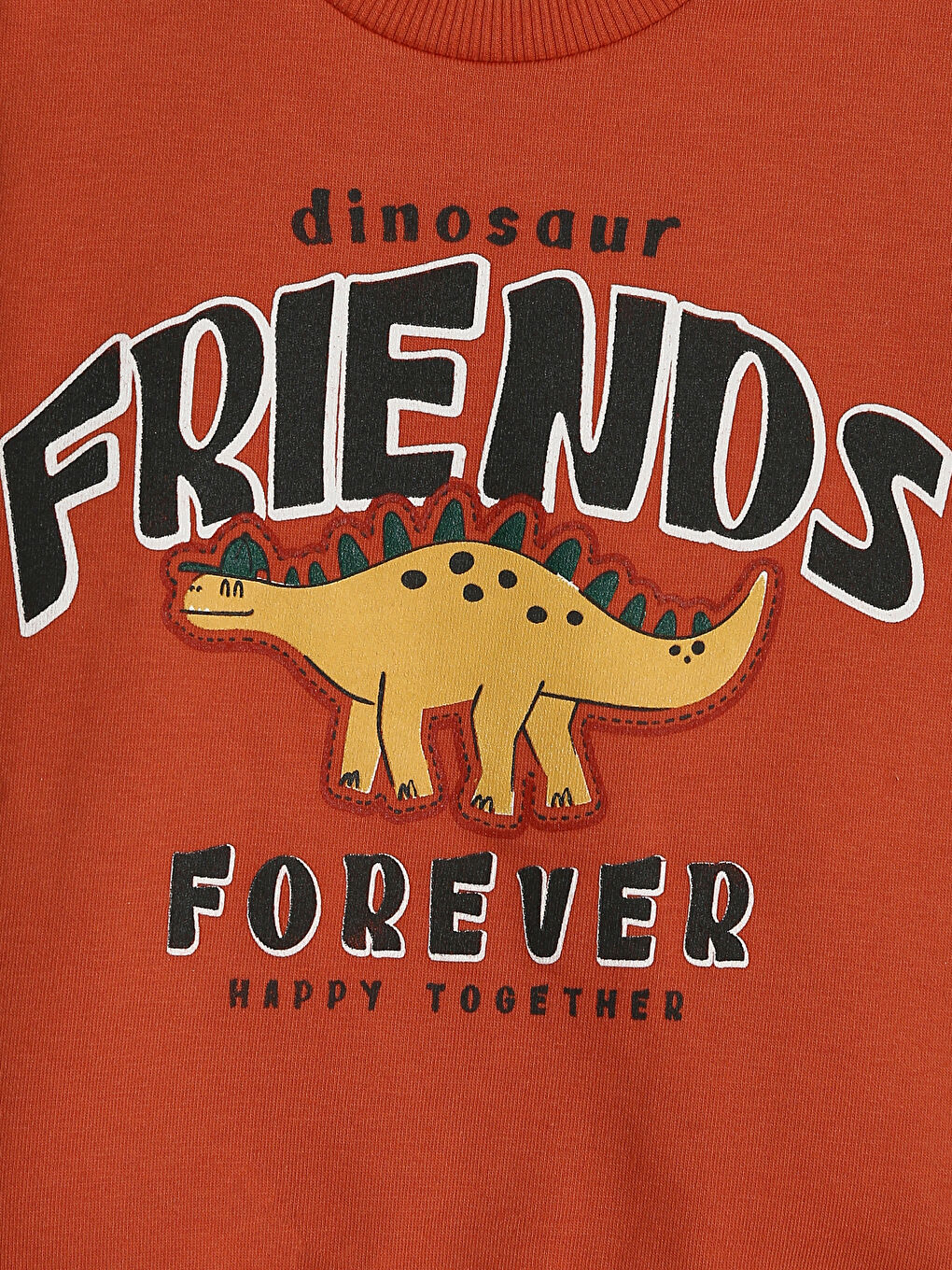 Crew Neck Printed Long Sleeve Boys' Sweatshirt-2