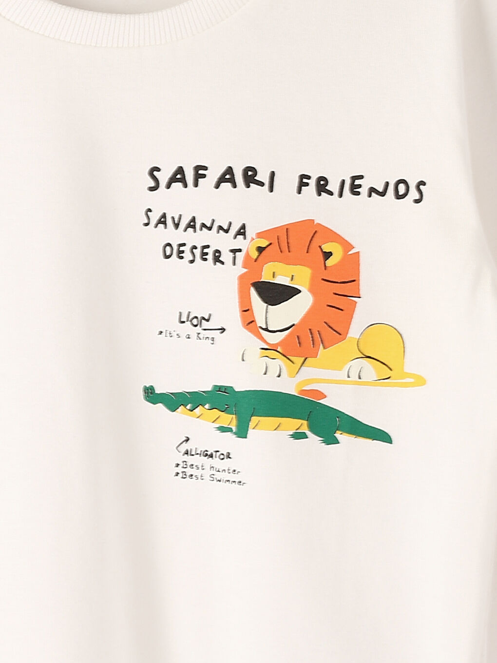 Crew Neck Long Sleeve Printed Baby Boys' T-Shirt-3