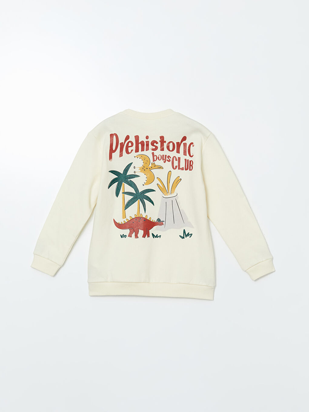 Crew Neck Baby Boys' Thick Sweatshirt-2