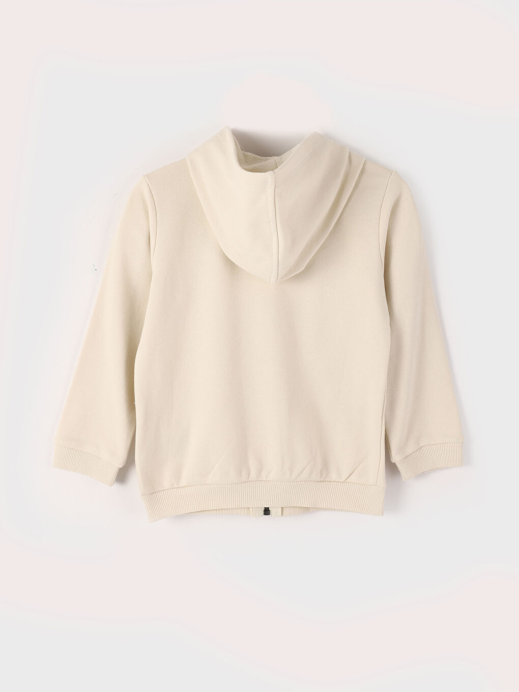 Hooded Basic Baby Boys' Zip-Up Sweatshirt-1