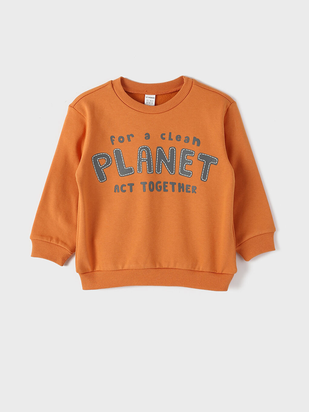 Crew Neck Printed Thick Baby Boys' Sweatshirt