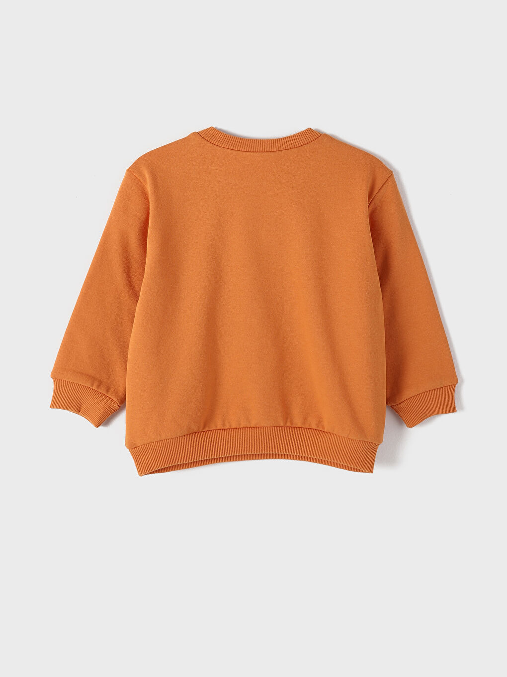 Crew Neck Printed Thick Baby Boys' Sweatshirt-1