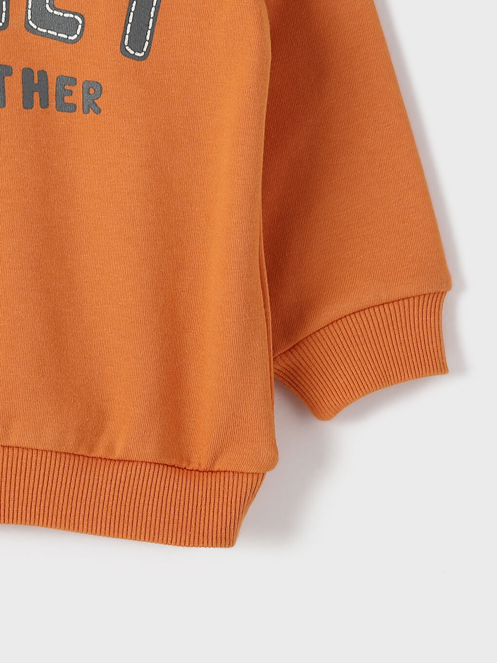 Crew Neck Printed Thick Baby Boys' Sweatshirt-2