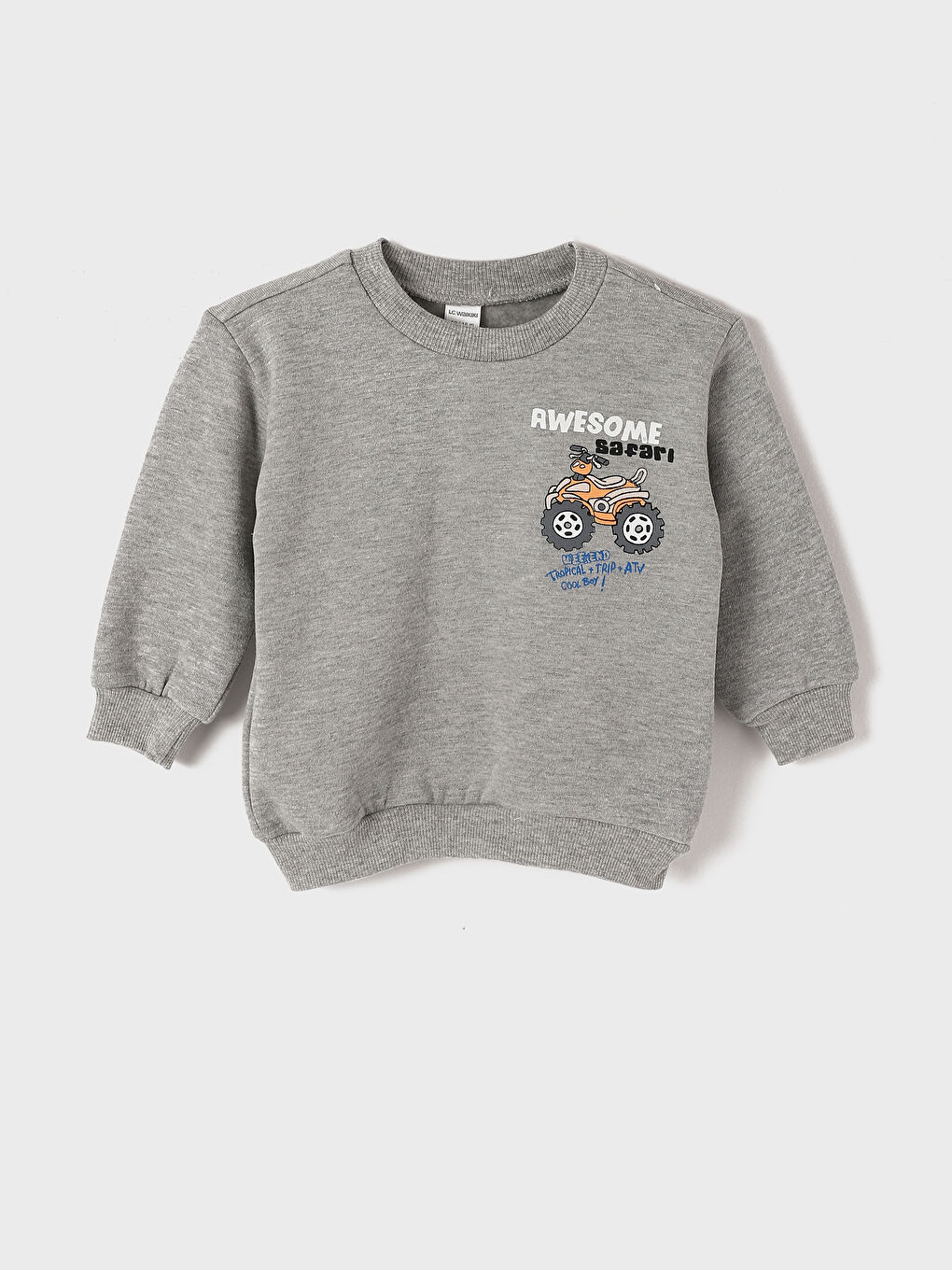 Crew Neck Long Sleeve Printed Baby Boys' Sweatshirt