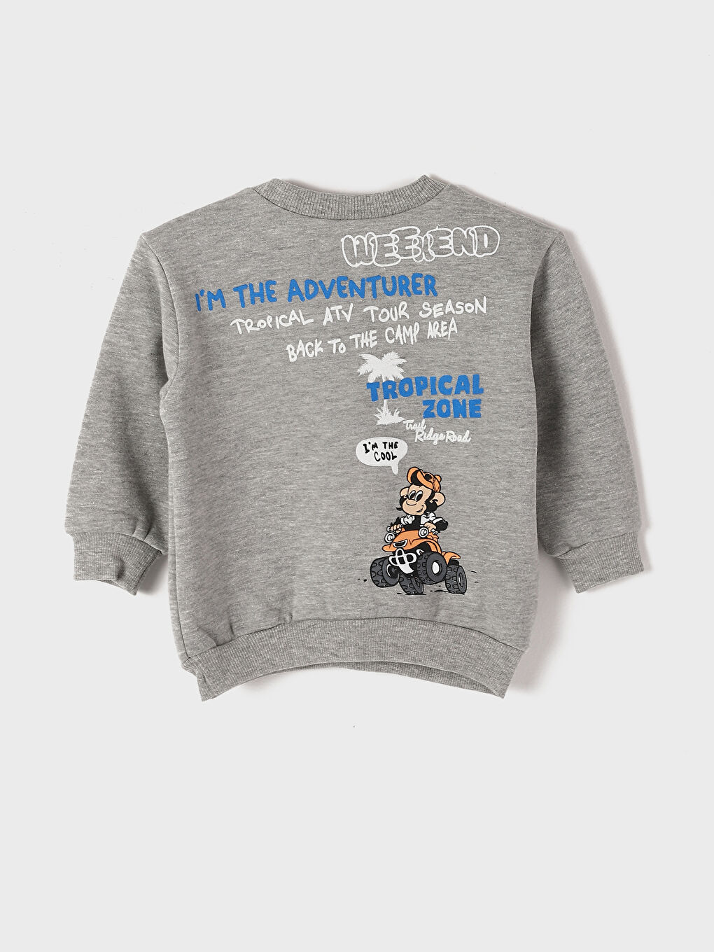 Crew Neck Long Sleeve Printed Baby Boys' Sweatshirt-1