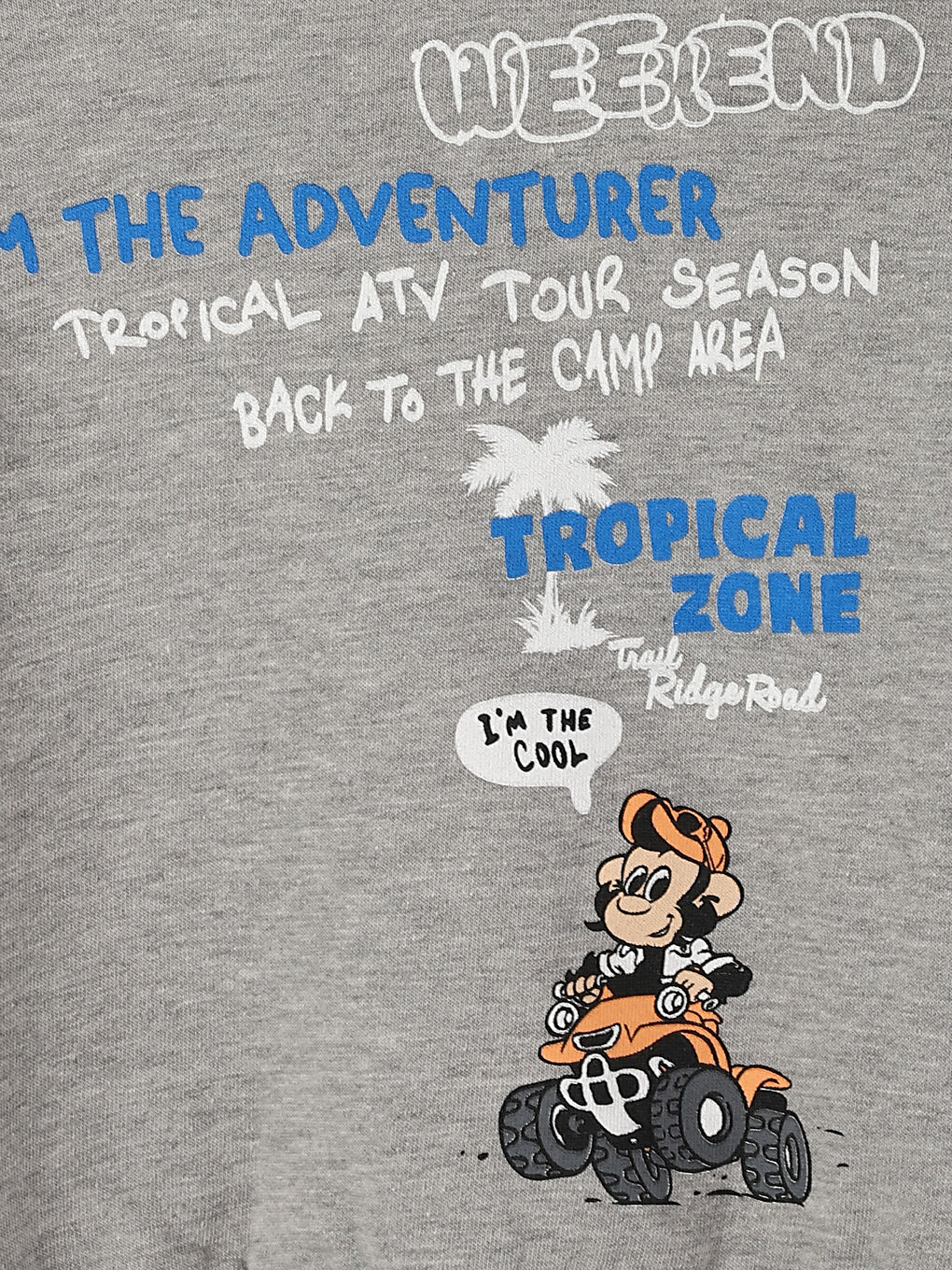 Crew Neck Long Sleeve Printed Baby Boys' Sweatshirt-2