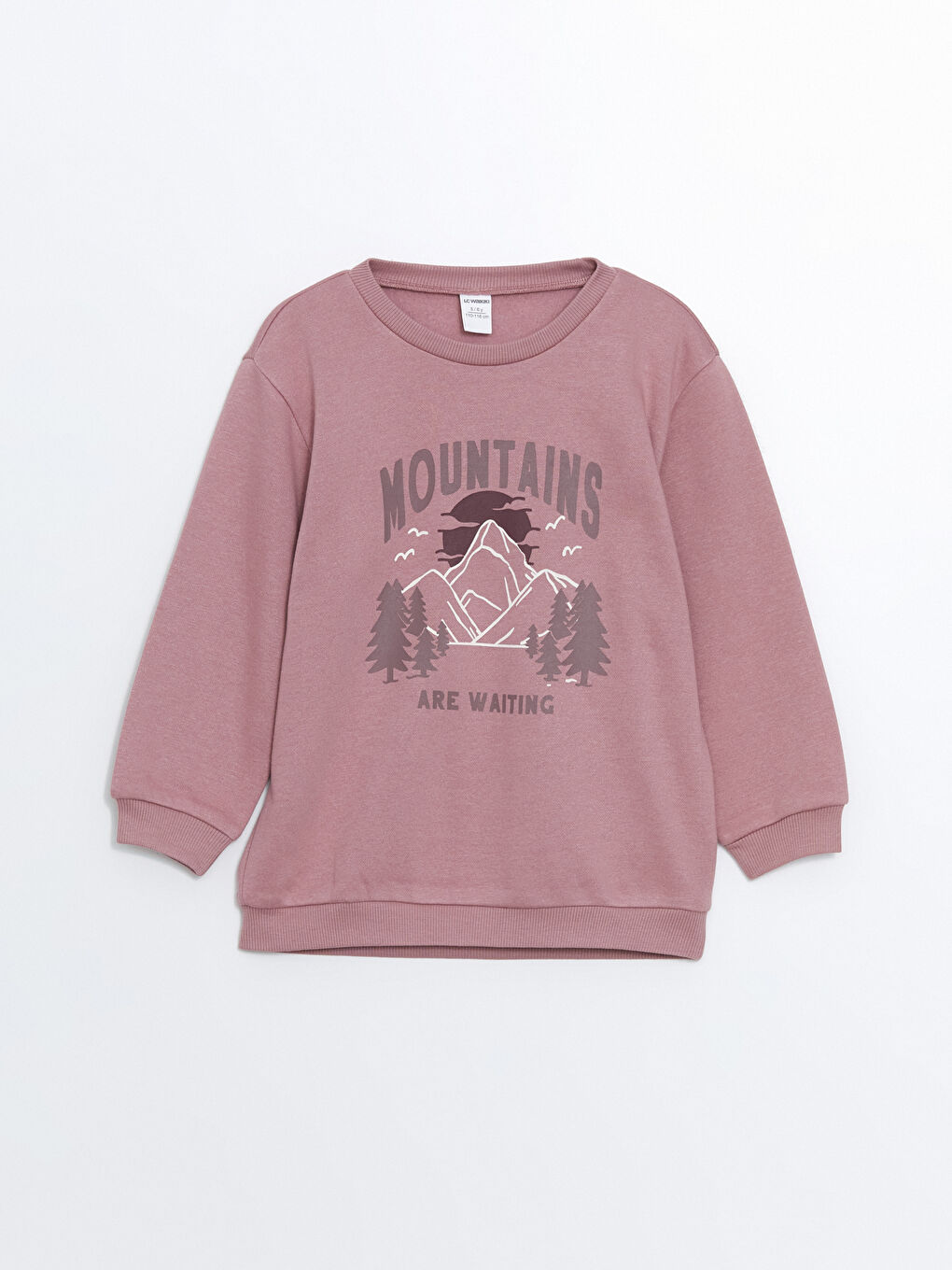LCW Kids Crew Neck Printed Boys' Sweatshirt -W4H143Z1-GVH