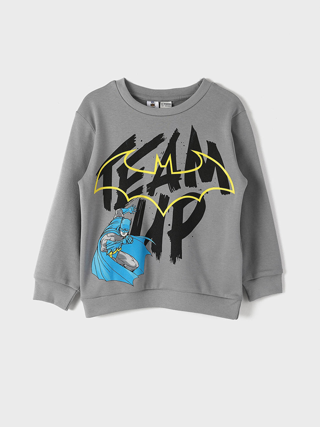 سويت شيرت مطبوع بياقة دائرية للأولاد