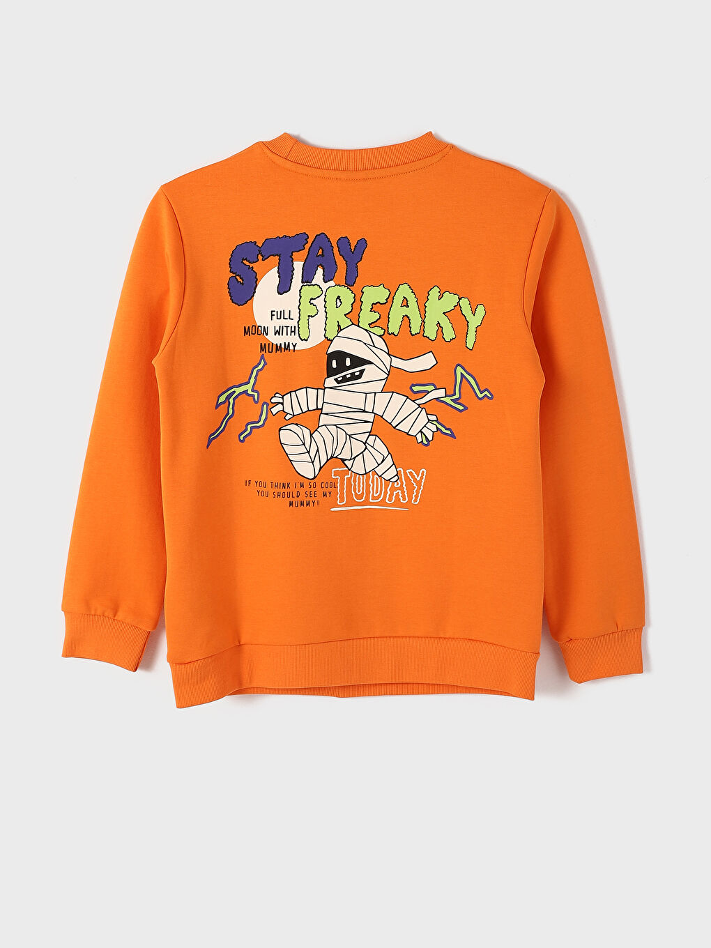 Crew Neck Printed Long Sleeve Boys' Sweatshirt-1