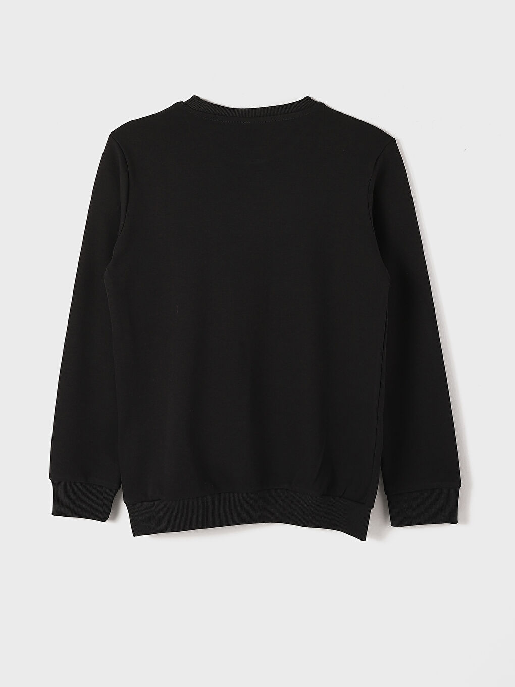 Crew Neck Printed Long Sleeve Boys' T-Shirt-1