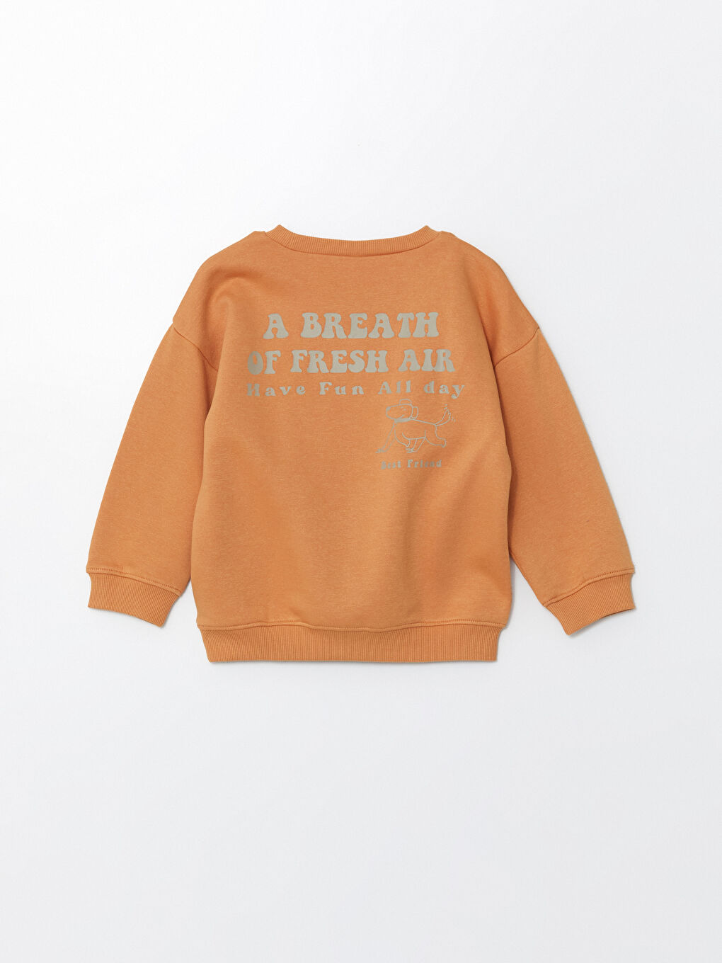 LCW baby Turuncu Bisiklet Yaka Baskılı Erkek Çocuk Sweatshirt - 2