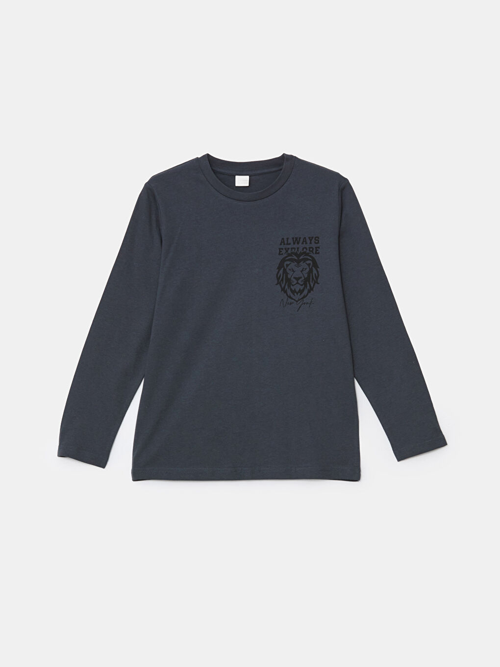 Crew Neck Lion Printed Boys' T-Shirt -W4HT59Z4-VYV