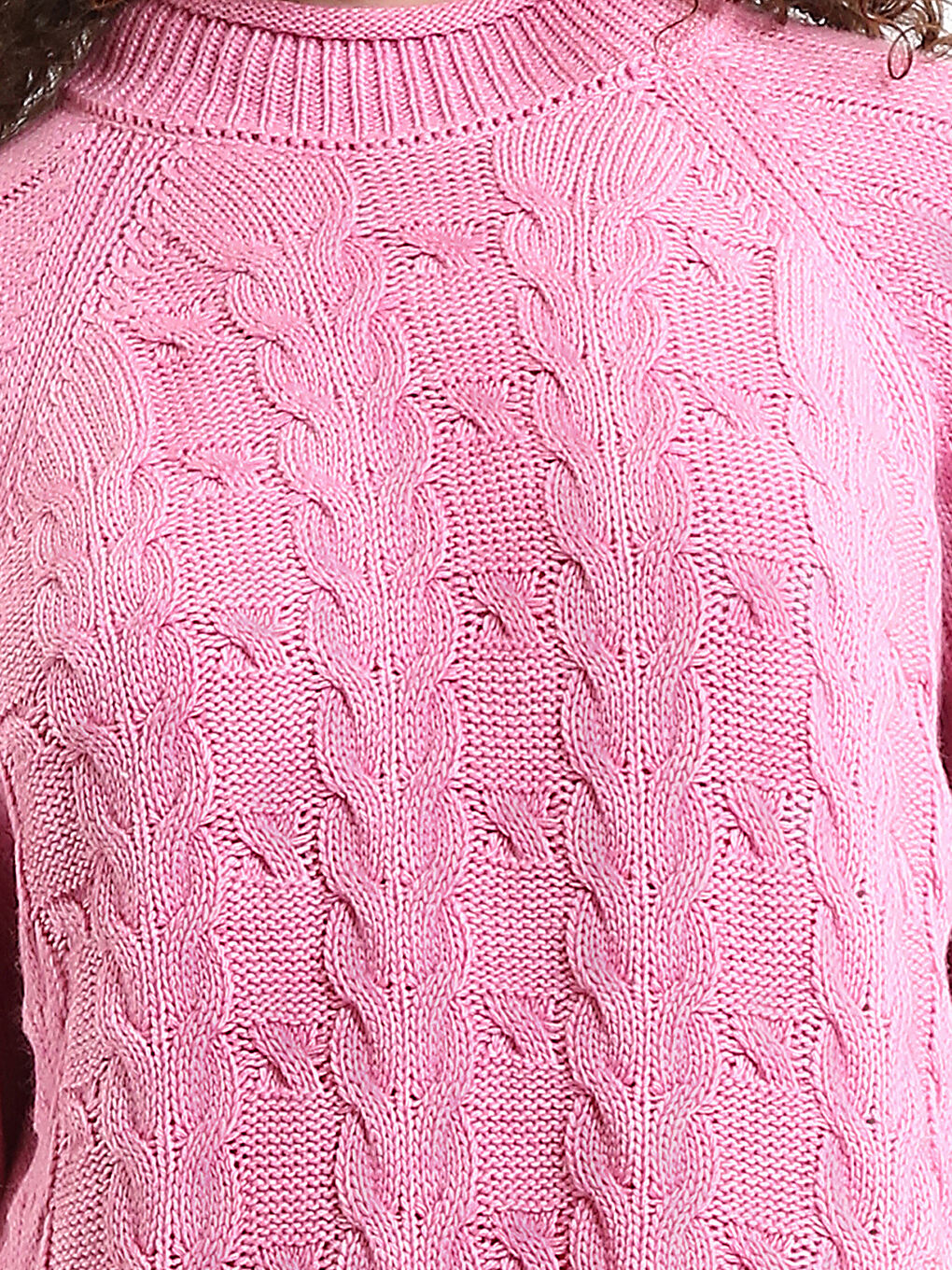 Half Turtleneck Self-Patterned Women's Knitwear Sweater-2