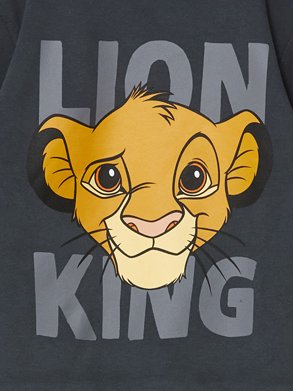 Antrasit Aslan Kral Baskılı Kalın Erkek Çocuk Sweatshirt-2