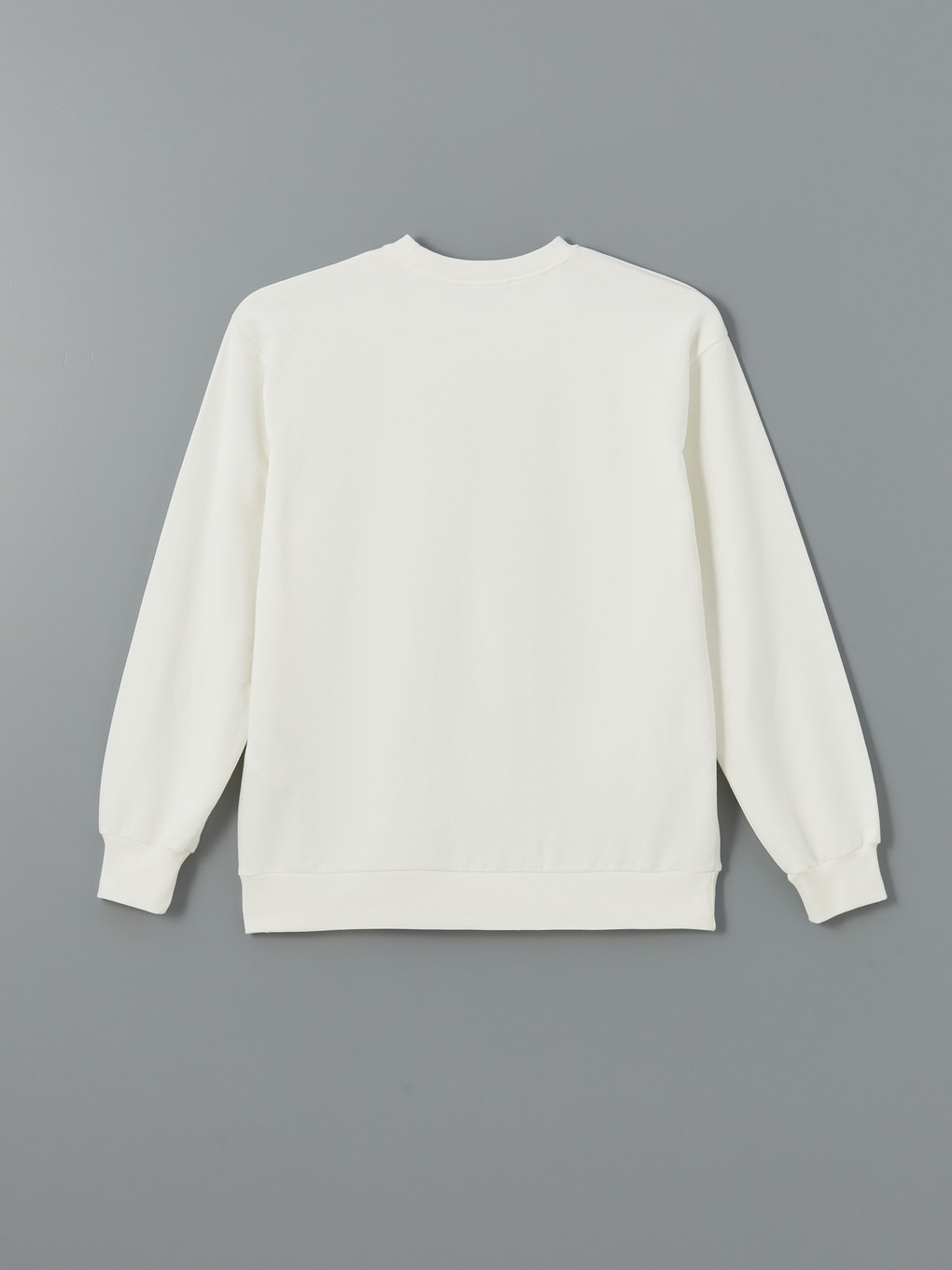 Crew Neck Printed Long Sleeve Women's Sweatshirt-5