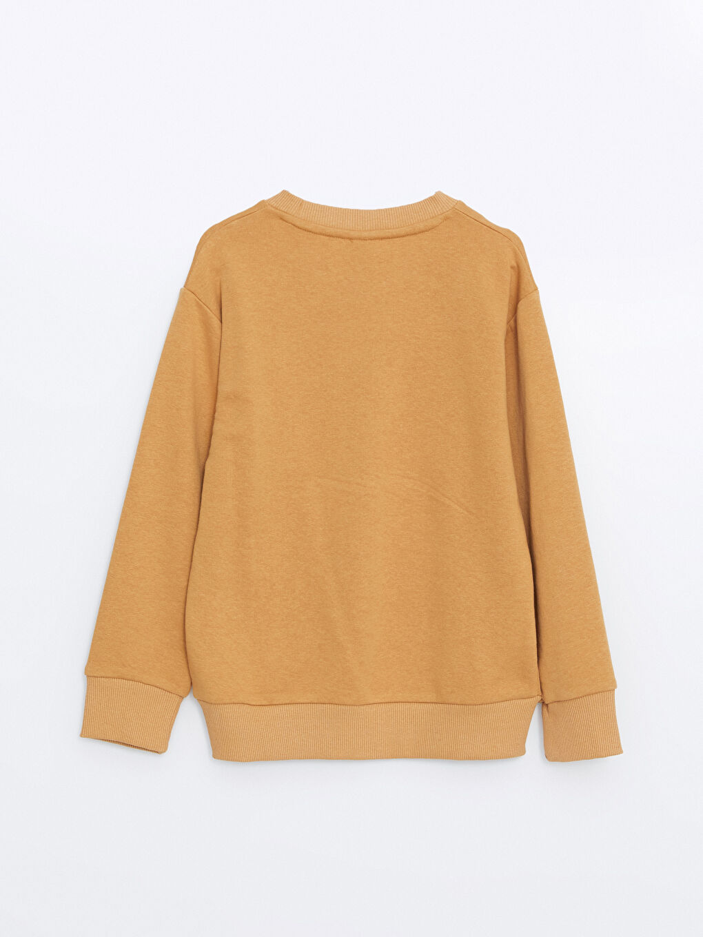 LCW ECO Koyu Bej Bisiklet Yaka Basic Uzun Kollu Erkek Çocuk Sweatshirt - 2