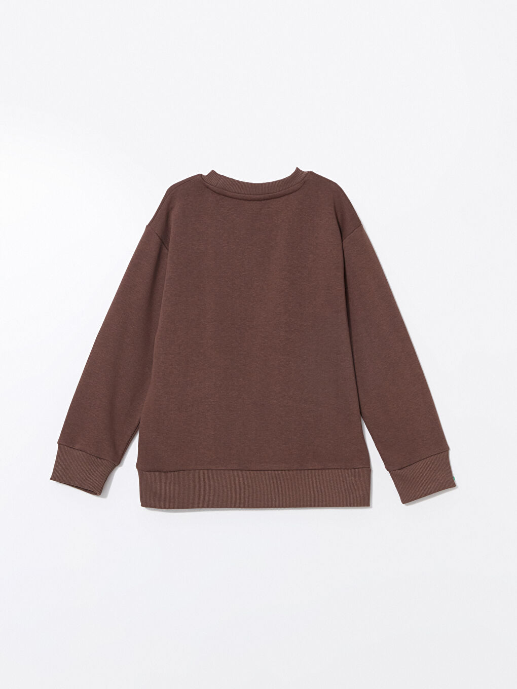 LCW ECO Kahverengi Bisiklet Yaka Basic Uzun Kollu Erkek Çocuk Sweatshirt - 2