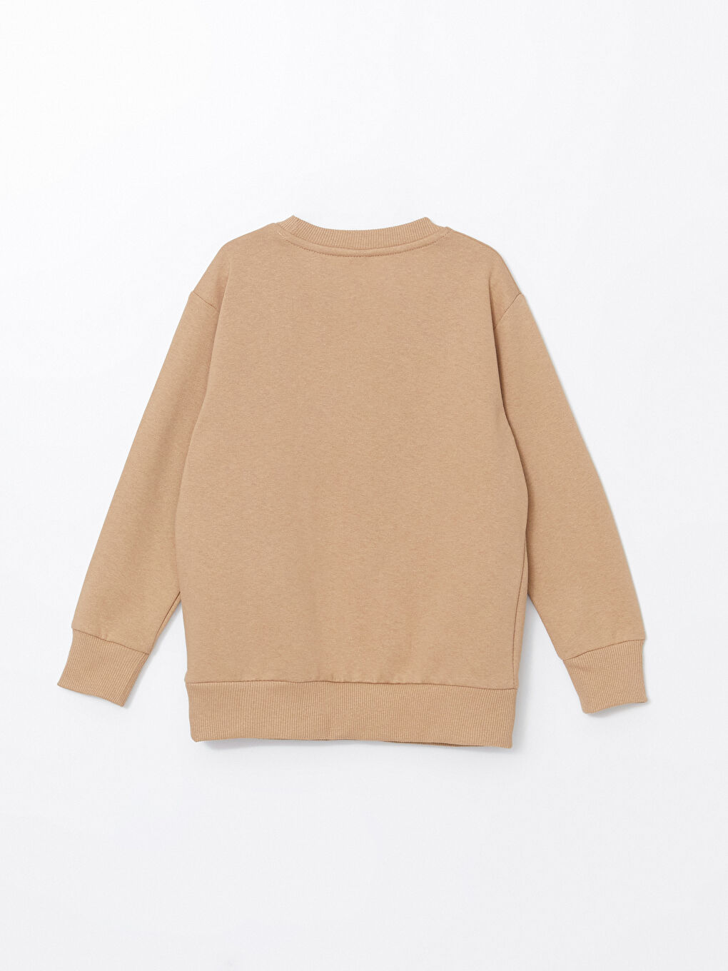 LCW ECO Bej Bisiklet Yaka Erkek Çocuk Sweatshirt - 2