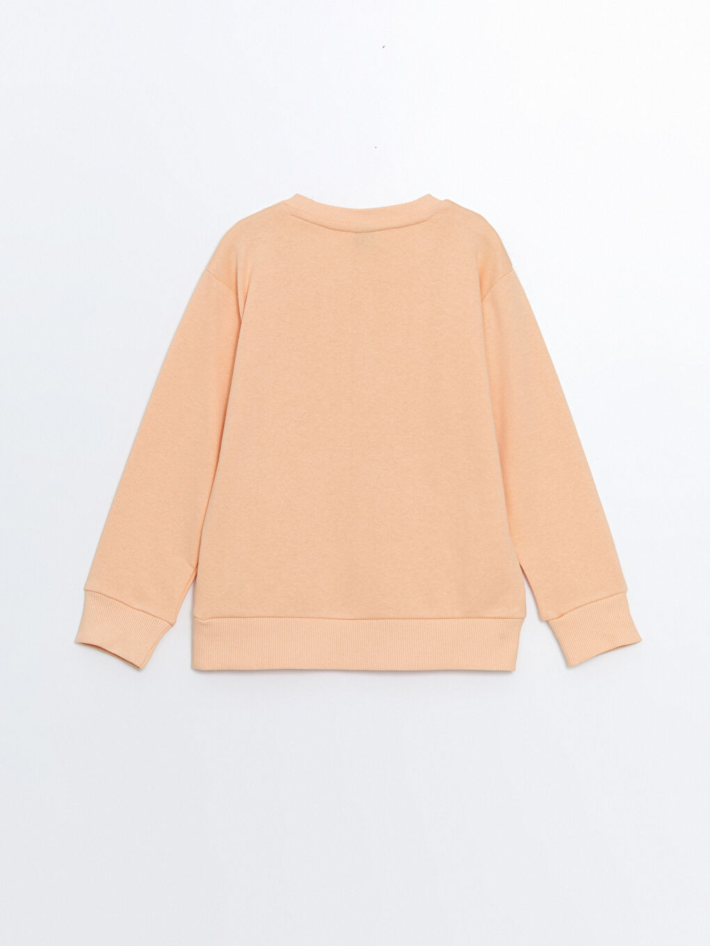 LCW ECO Uçuk Mercan Bisiklet Yaka Basic Uzun Kollu Erkek Çocuk Sweatshirt - 2